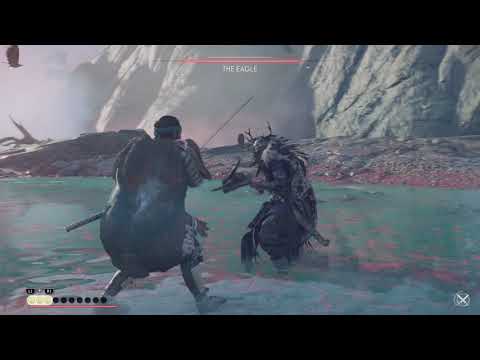 The eagle boss fight (no damage)