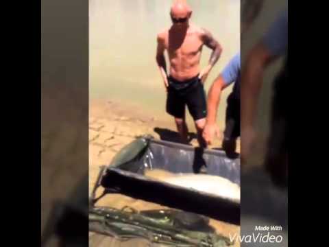 Spam Gang River Ebro July 2015