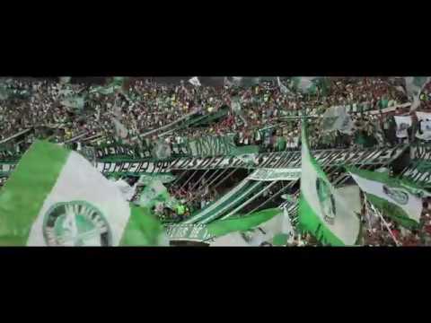 "FIESTA EN LA TRIBUNA | AtleÌtico Nacional vs Once Caldas | Apertura 2019" Barra: Los del Sur &bull; Club: Atlético Nacional
