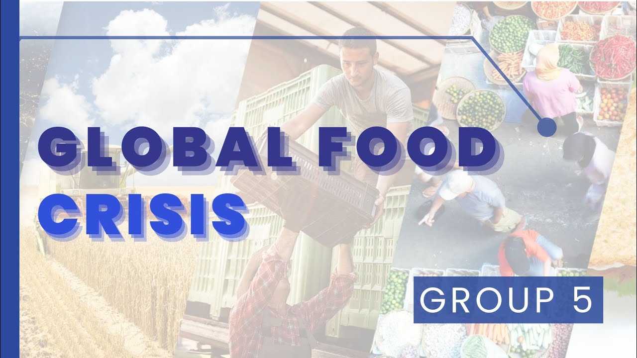 Lesson 6:Towards a Sustainable World//Section 2: Food Security