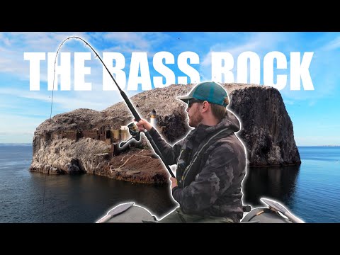 Fishing At The Bass Rock | Sea Fishing Scotland