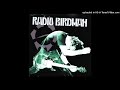 Radio Birdman - Hot Rails To Hell