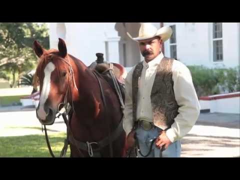 King Ranch Fashion & Furniture