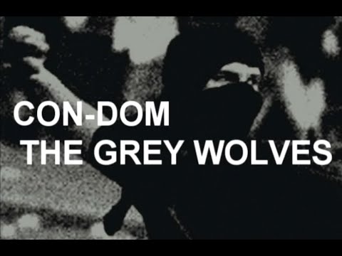 Con-Dom & The Grey Wolves: Consumer Electronics #5 (2005)