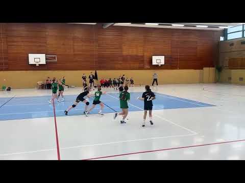 11.03.23 🤾🏼‍♀️ wD Verbandsliga Berlin RR Berliner TSC-Rein. Füchse Berlin