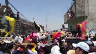 preview picture of video 'carnaval san pablo oztotepec 2013 comparsa oztotepec CONEJOS'