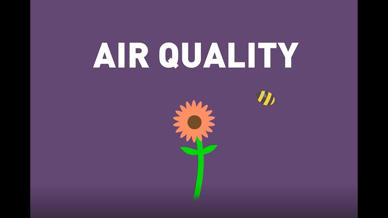 Air Pollution