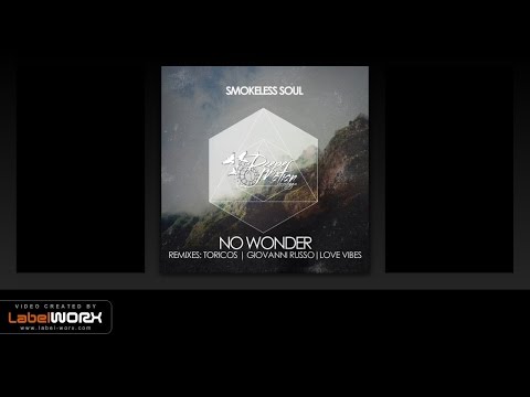 Smokeless Soul - No Wonder (Toricos Remix)