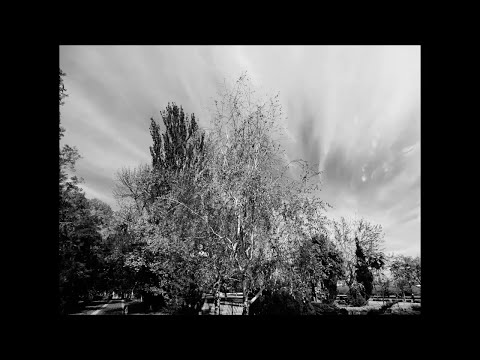 Зима в сердце