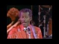 Chuck Berry, My Ding-A-Ling (Live 1985) 