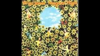 Wizz Jones - Song To Woody