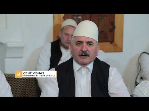 Cene Vishaj - Moj sharki ti theme dy fjale