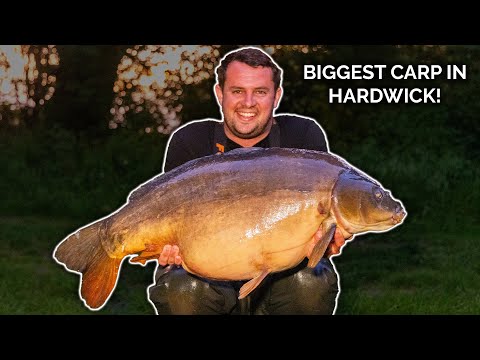 Hardwicks Biggest Carp! | Full Film | Tom Maker Linear Fisheries | CineCarp TV