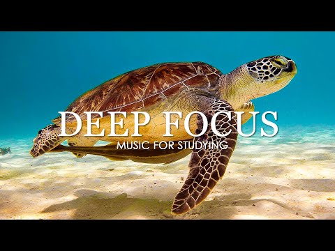 Deep Focus Music To Improve Concentration  - 11 Hours of Ambient Study Music to Concentrate #5