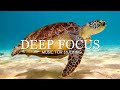 Deep Focus Music To Improve Concentration  - 11 Hours of Ambient Study Music to Concentrate #5
