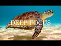Deep Focus Music To Improve Concentration 11 Hours Of Ambient Study Music To Concentrate 5