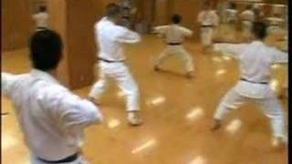 Programme "Dan-Test" in Japan Part 3. 2/3