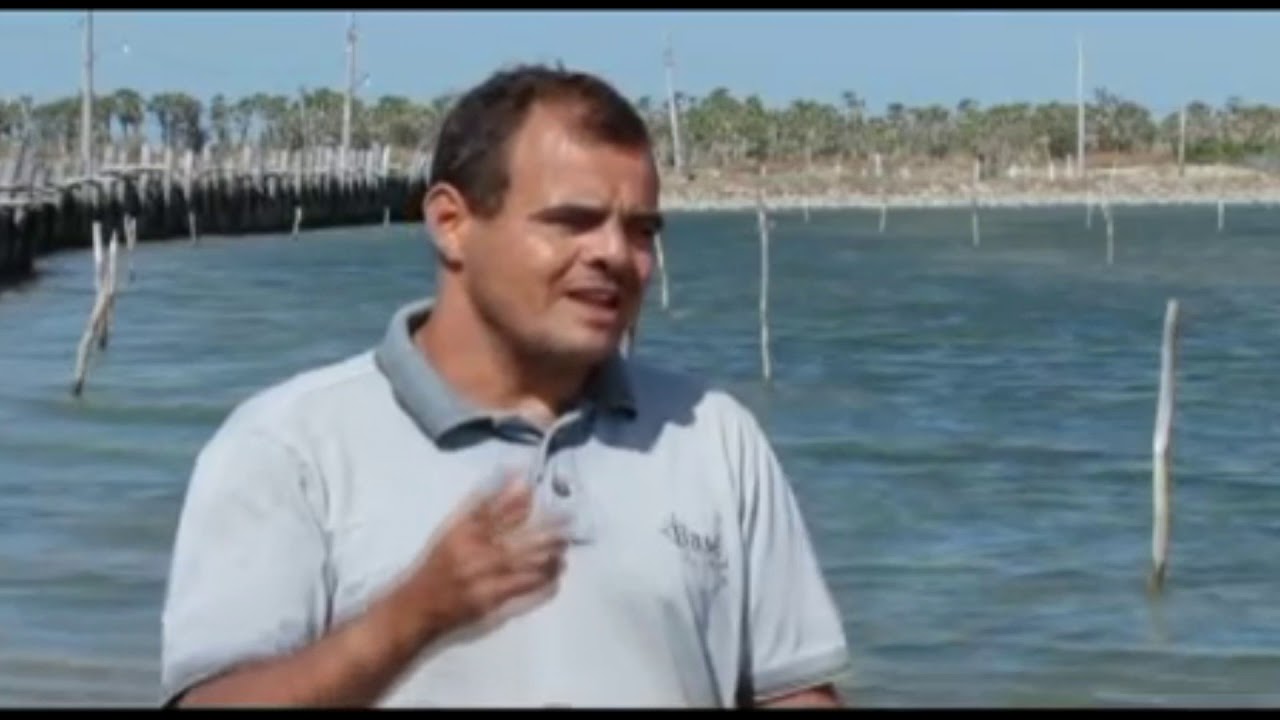 Aula 4 - CAMARÃO L  VANNAMEI - QUALIDADE DE ÁGUA DO CULTIVO