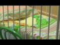 Wideo: Motylkowy oddzia� po remoncie