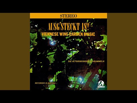 Salzburger Schnürlregen