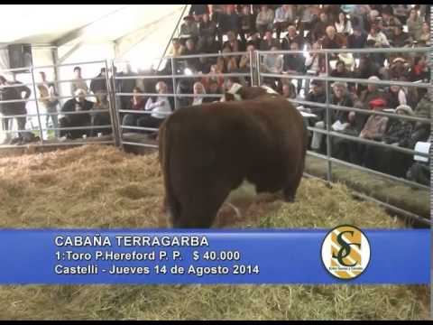 Terra Garba - Toros - Sáenz Valiente, Bullrich y Cía. S.A. - 14/08/2014