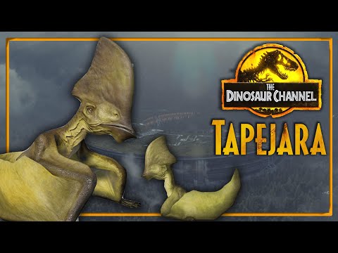 What Was The Tapejara? - The Dinosaur Channel