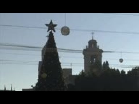 Christmas tree and Nativity scene in Bethlehem