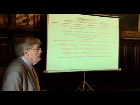 Seminar Series 11: Lecture 6 - Bruce McEwen - 'Experience shapes the brain across the life course'