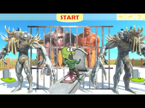 PRIMATES + FANTASY INVADE INFERNALS CEMETERY TO SAVE THE GORO THE GIANT + HILL GIANT -  ARBS