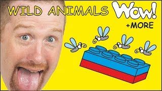 Wild Animals for Kids + MORE English Stories for Children with Steve and Maggie | Wow English TV