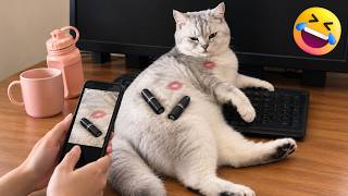 【神回】一生見てられる猫と犬の爆笑動画まとめ🐱🐶