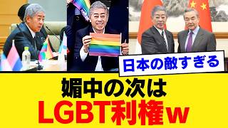 【炎上】自民党・岩屋毅さん、LGBT理解増進で前のめりすぎて「どこの党？」状態にｗｗｗ