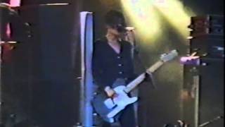 Elastica - See That Animal (Glastonbury 995)