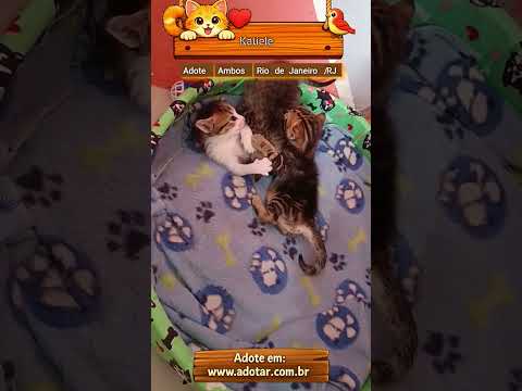 Vídeo de Katiele 