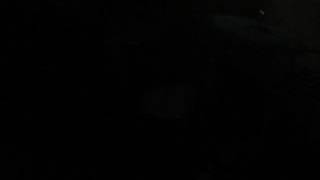 MEPHISTO - perpetual shadow