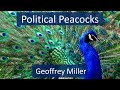 Political Peacocks Sexual Selection Virtue Signaling And Ideology