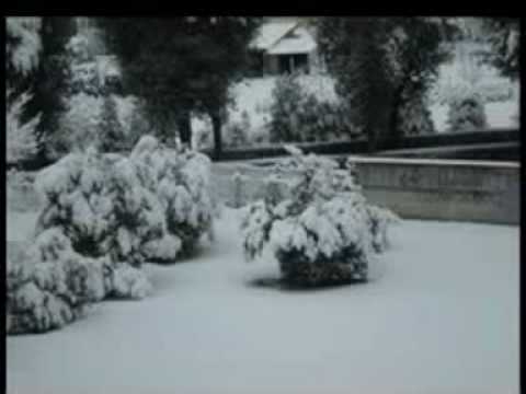 neve pistoia per web.mov