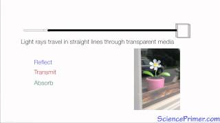 Behavior of light rays - light ray model overview