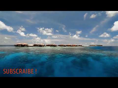 The cherished Maldives 1  4 K ULTRA HD