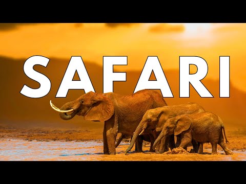 Kenia Video 1 Thumbnail