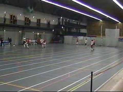 Samenvatting: DZS - Cibatax