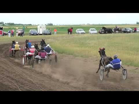Trka "II kasačka trka" 14.06.2020  Fantast B.O. - Branislav Topalov