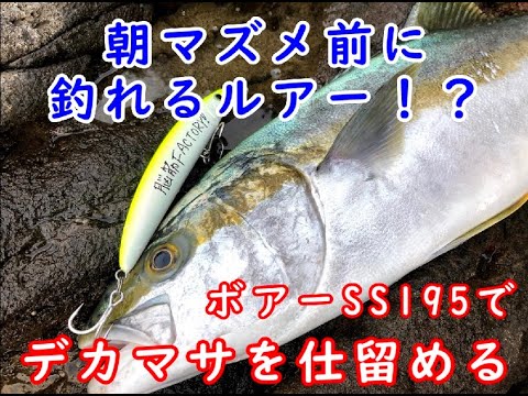 ロックショア　マリア　ボアーSS１９５を使って暗闇から青物を釣り上げる！朝マズメ前に釣って周りと差をつけろ！
