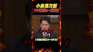 小泉進次郎の答弁が想像以上に強い　慰霊の日のヤジ問題で共産党に反論 #国会 #政治