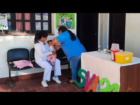 Ya se vacunó contra la gripe a más del 45% de la población objetivo de la provincia