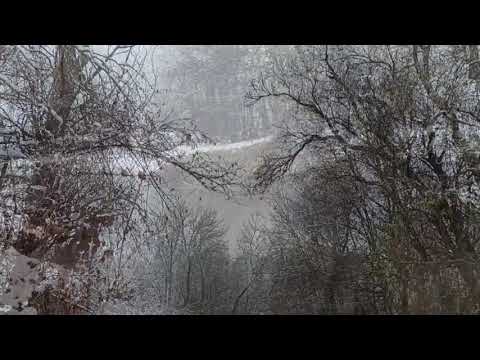 MUZICA VECHE ROMANEASCA, MELODII VECHI DE PETRECERE