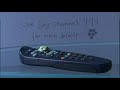 Sky Dog Duck Promo 2006