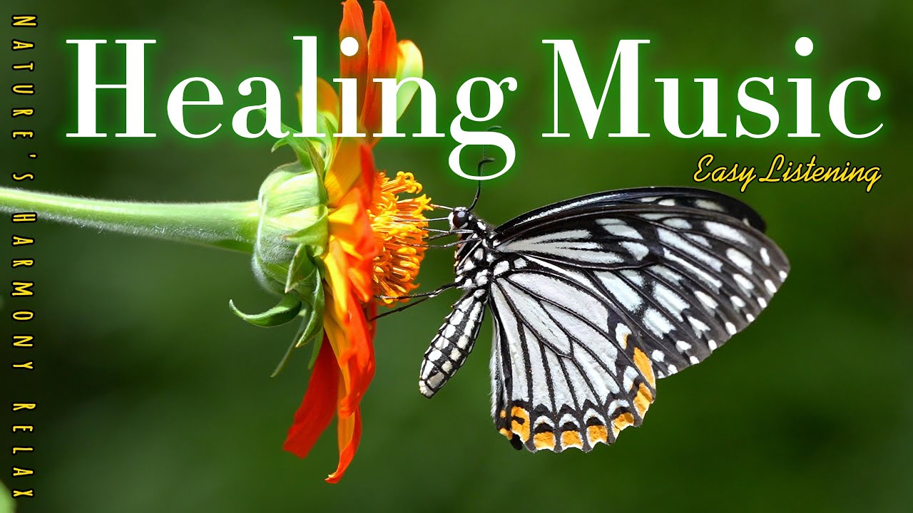 Healing Music Common Mime 🌿 Gentle music to forget the hustle and bustle of daily life.#009