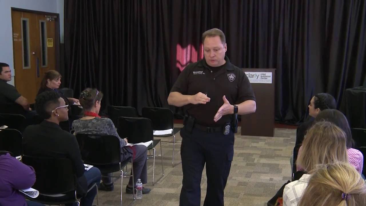 Law Enforcement and People with Mental Illness - Part 2