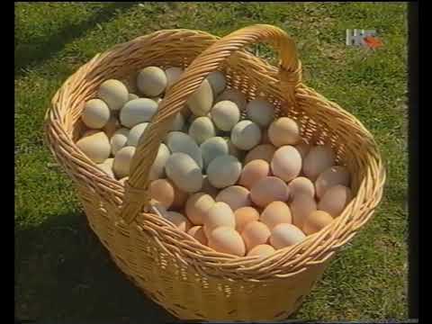 [1080p60] HRT 1, 2002. - vijesti, najava programa, ident